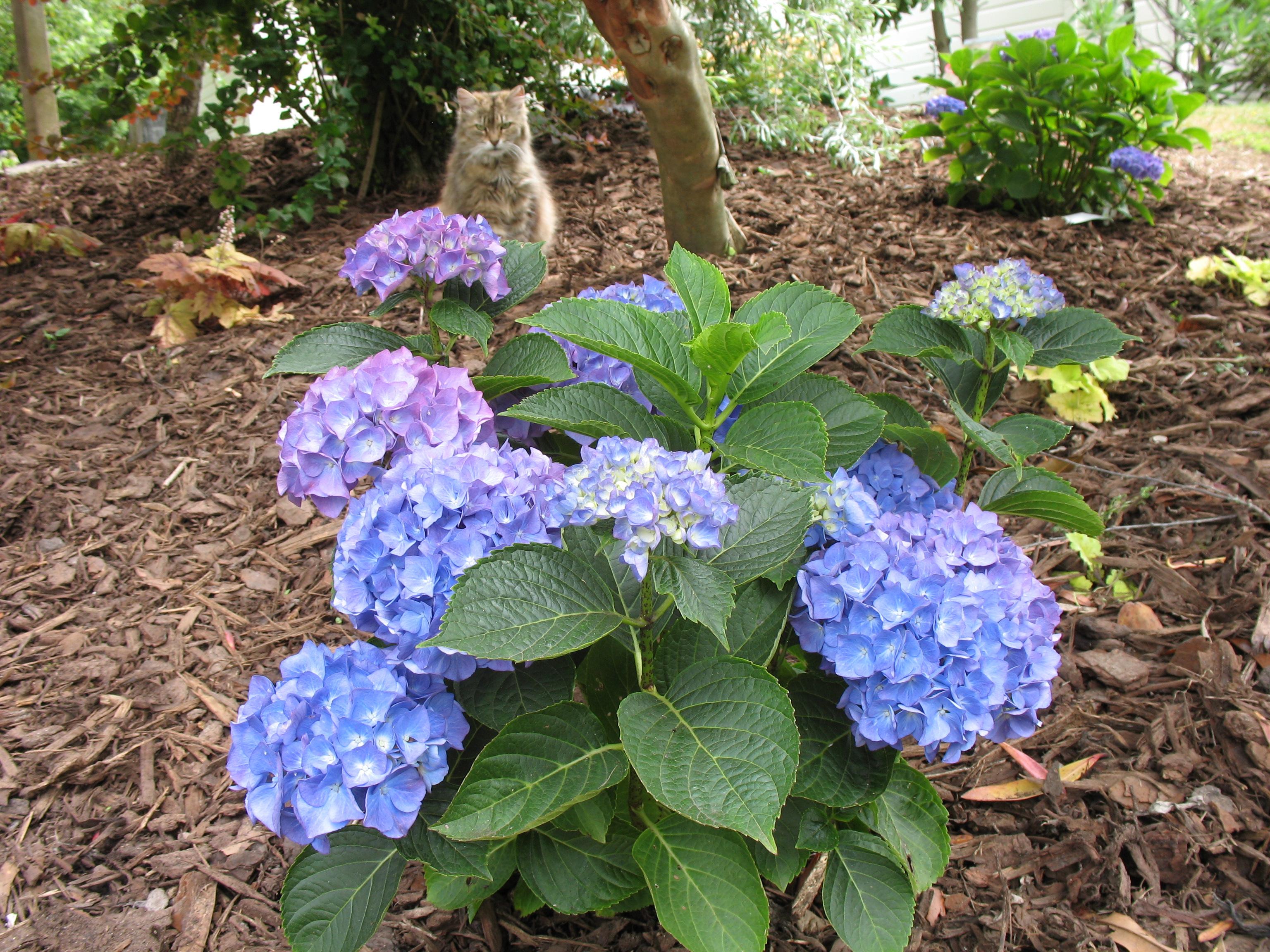 Living Fashion grouped by colour blue